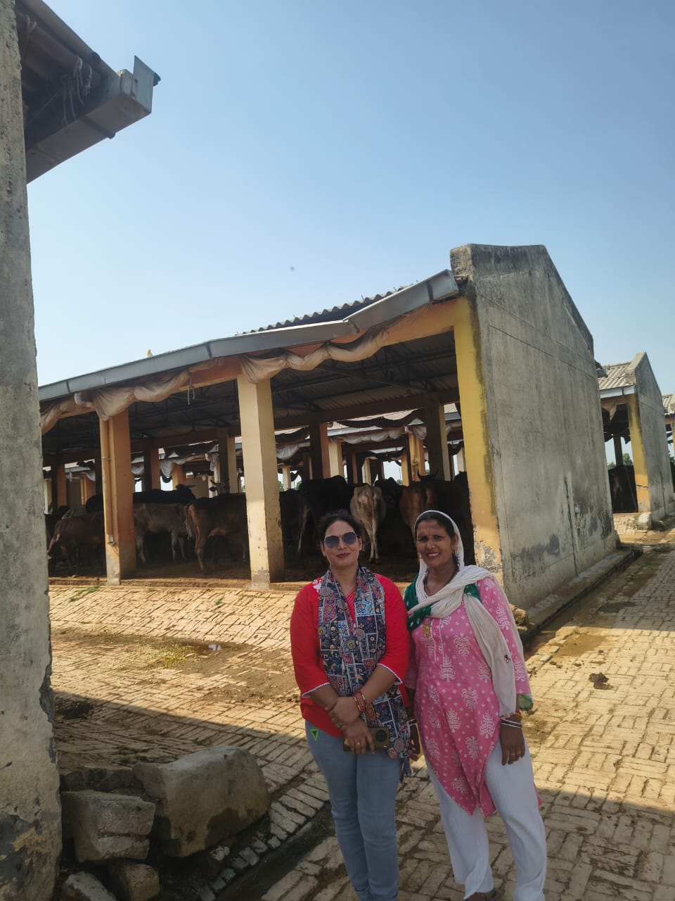 Gau Seva