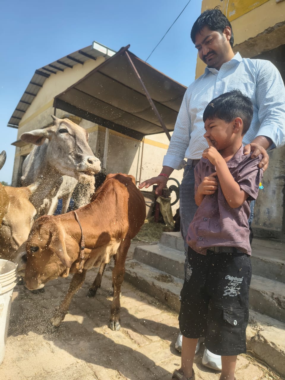 Gau Seva