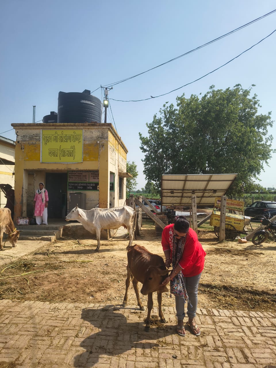 Gau Mata